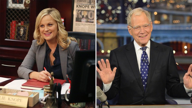 "Parks and Recreation" and "Late Show with David Letterman" were among the celebrated TV series to come to an end in 2015.