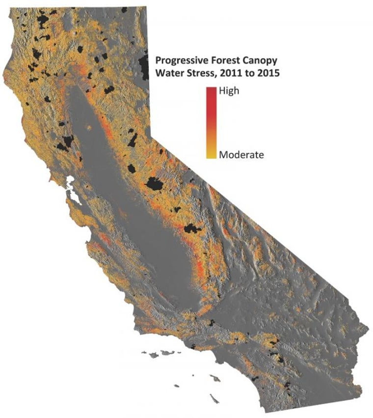 This image shows progressive water stress on California's forests.