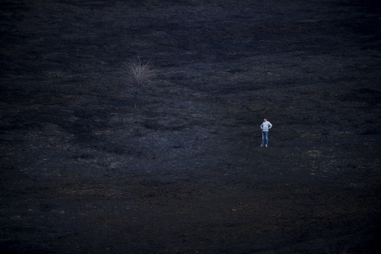 Image: A man stands in the middle of a burnt forest following a bushfire near the Basque town of Berango