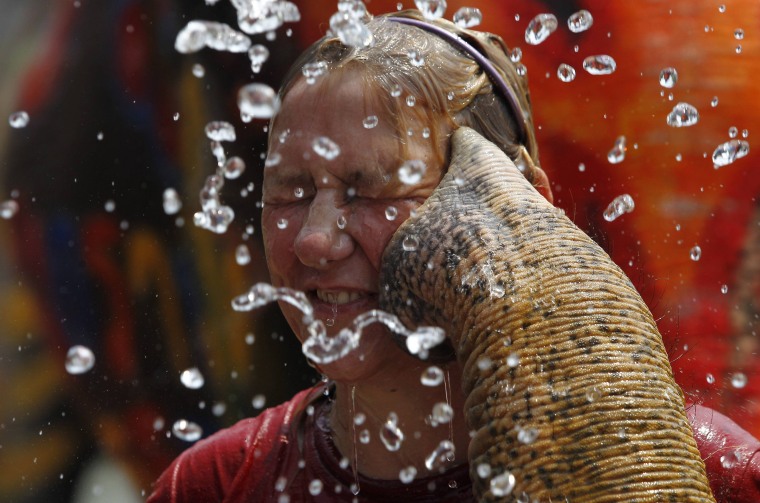 Image: A tourist reacts as an elephant sprays her with water in celebration of the Songkran water festival in Thailand's Ayutthaya province