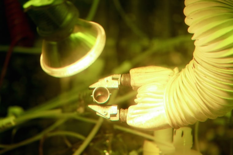 Image: Making of powder of plutonium-238