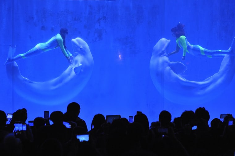 Image: Ppolar Whale Underwater Performance in China