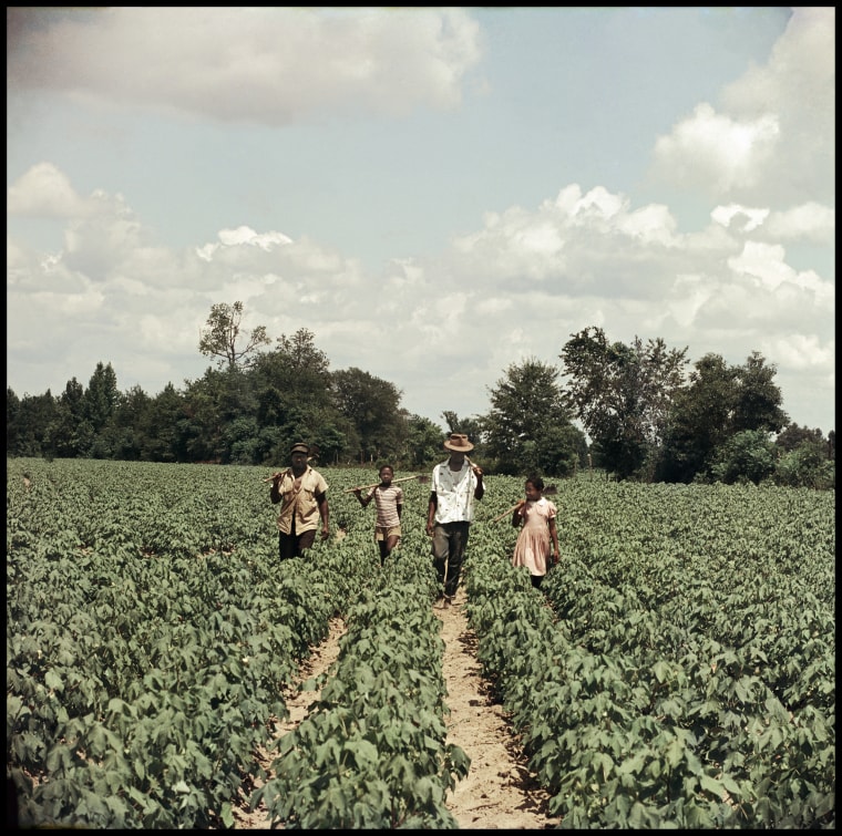 Image: Gordon Parks' Segregation Story