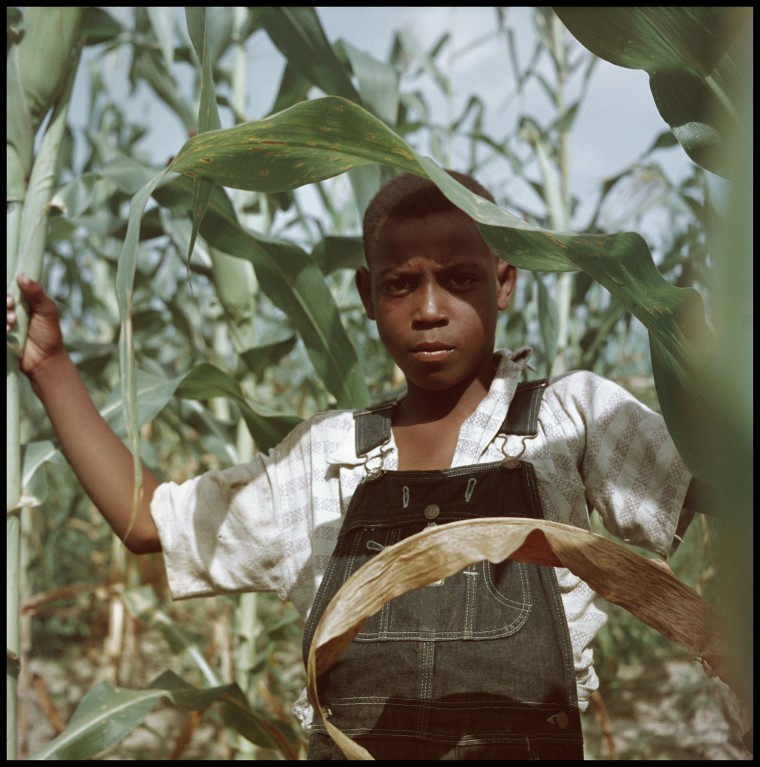 Image: Gordon Parks' Segregation Story