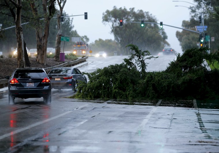 Image: A downed tree blocks a highway as an El Nino-strengthened storm brings rain and wind to San Diego
