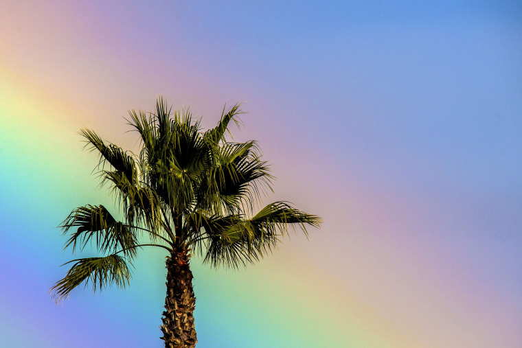 Image: A rainbow casts its glow behind a palm tree near the Seal Beach Pier