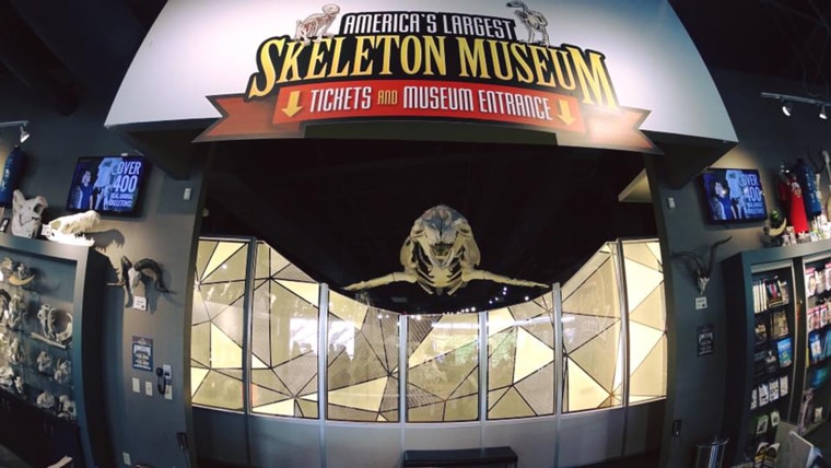 Orlando's Skeleton Museum