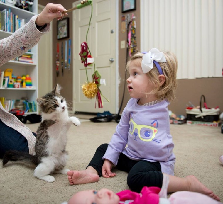 Tipton says Doc is adjusting well to her amputation, adding that she jumps and plays with their kids constantly.