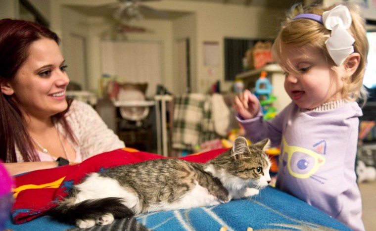 "She knows, despite her young age, that this cat is special to her," said Tipton.