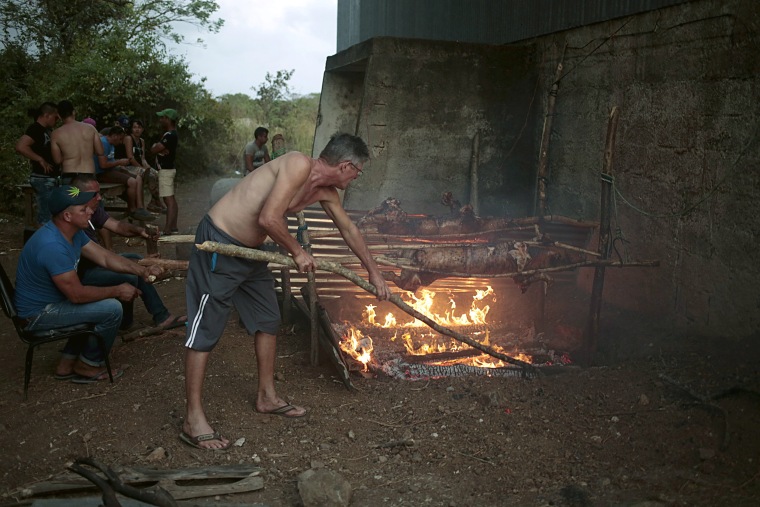 Image: Cuban migrants prepare pigs for Christmas eve dinner in the town of La Cruz