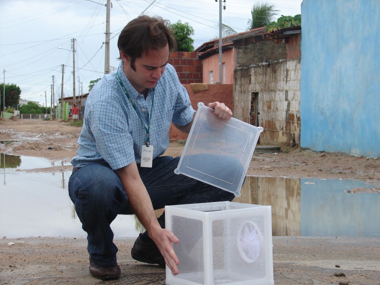 Image: Dr. Andrew McKemey releases Oxitec male mosquitoes in Brazil