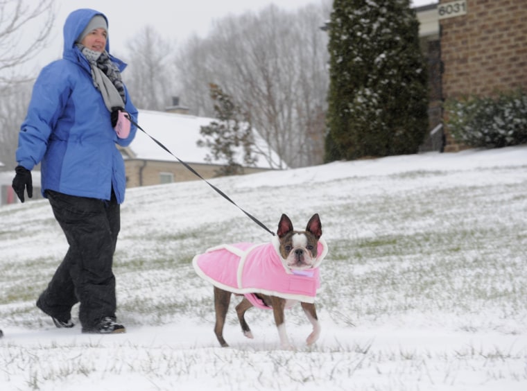 Image: A woman walks her dog as snow falls in Kernersville, N.C.