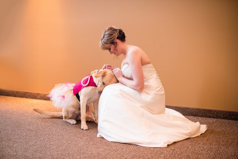 Excl: Service dog Bella calms down bride on wedding day