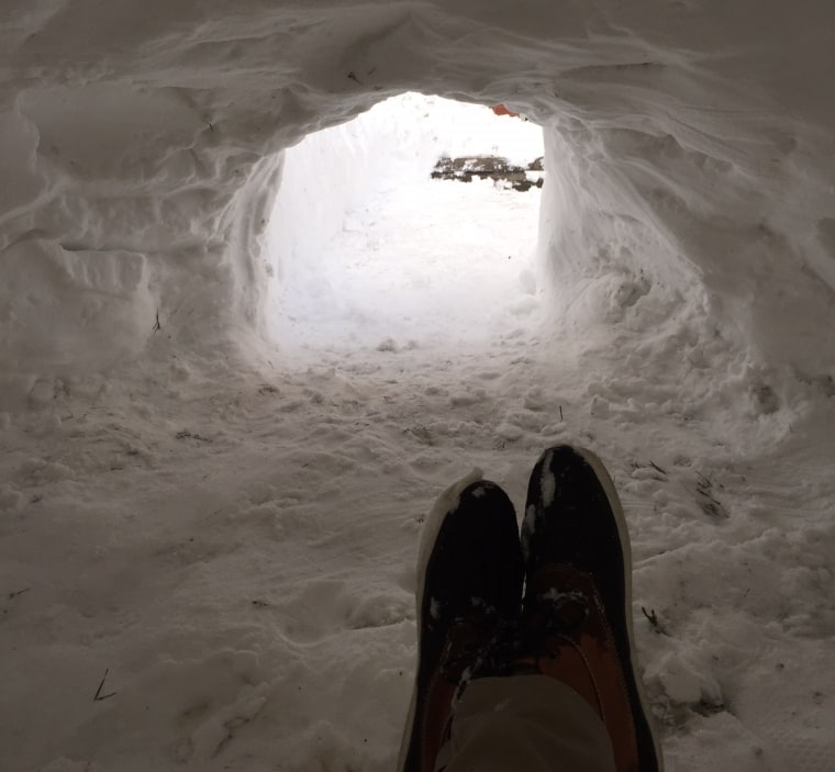 IMAGE: Interior view of Brooklyn igloo