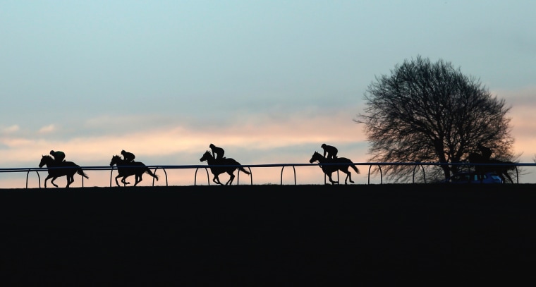 Image: Racehorses are seen early mormimg on the gallops at Upper Lambourn