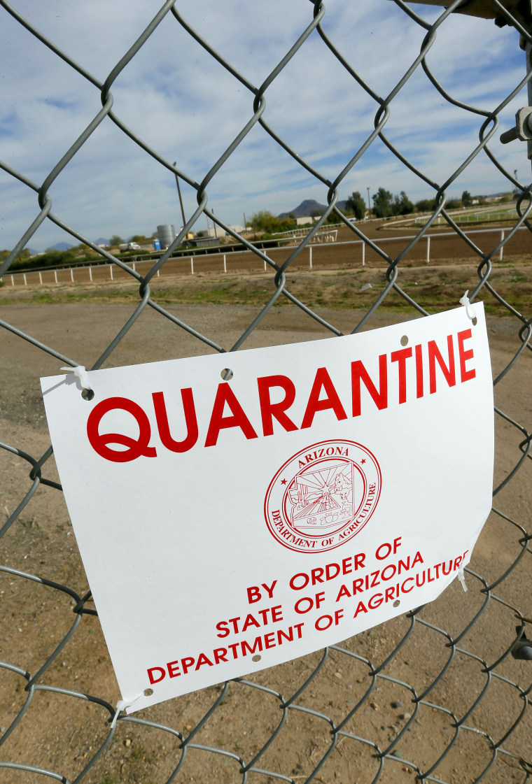 A quarantine warning is displayed outside the horse racing track at Turf Paradise, Friday, Jan. 29, 2016, in Phoenix.