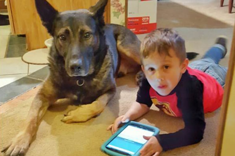 Ajax, a K-9 with the Marietta Police Dept. in Ohio, sits with the grandson of Officer Matthew Hickey.