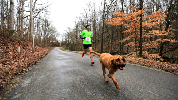 dog-runs-half-marathon-002-today-160125