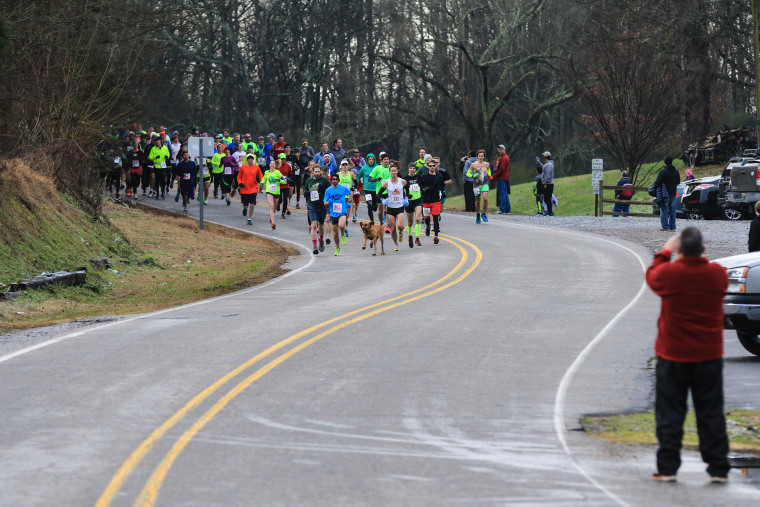 When she wasn't mingling with mules and cows, Ludivine joined humans in running the Elkmont Half Marathon.