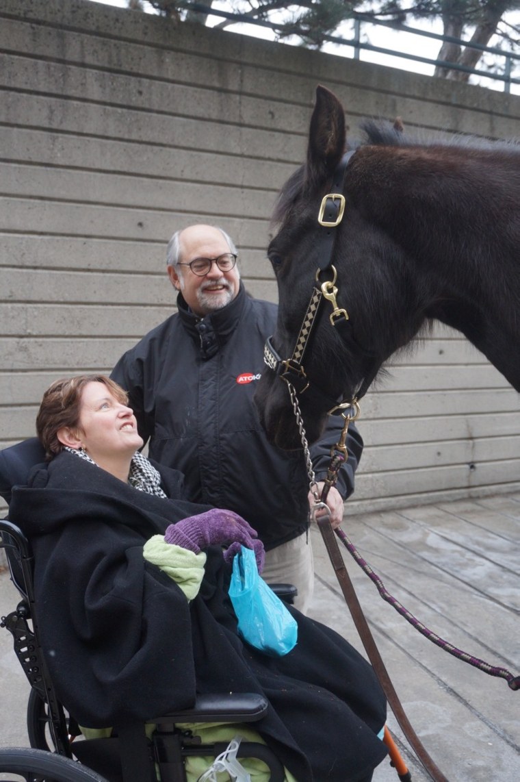 horse visit