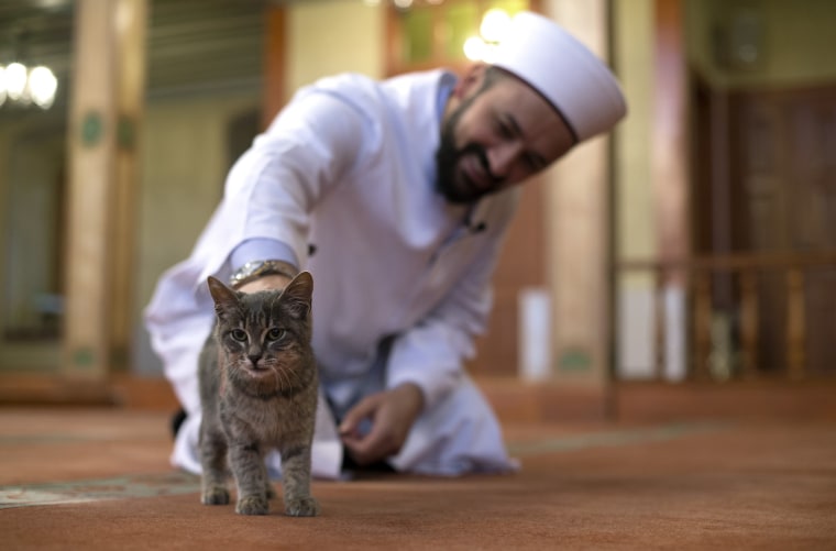 Image: Imam opens the door of Mosque for cats