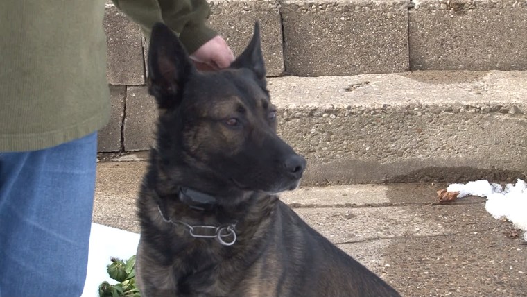 Ohio police officer forced to auction off longtime K-9 partner