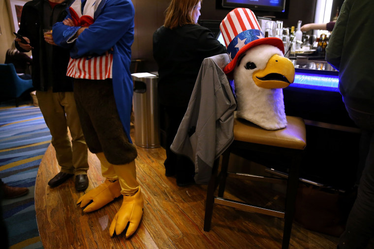 Image: Eagle Costume