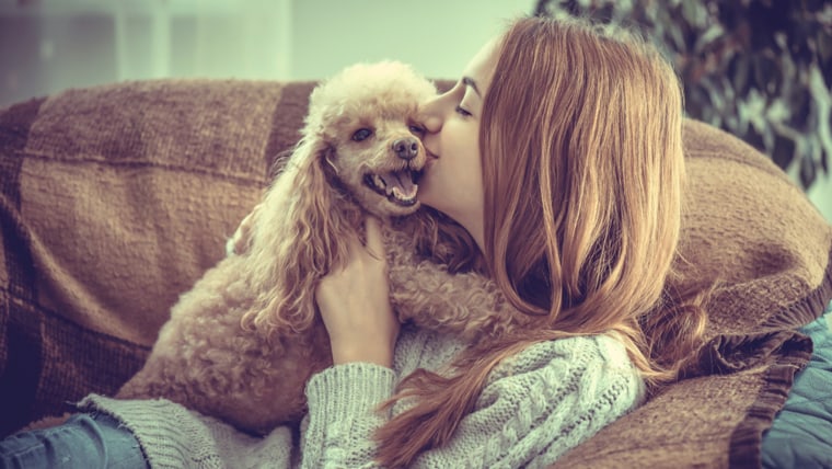 Dogs funnier than cats? Home videos seem to prove it