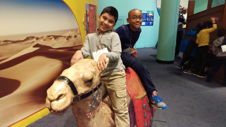 Two friends retrace ancient trade routes on a camel at the Children’s Museum of Manhattan’s new exhibit, “America to Zanzibar: Muslim Cultures Near and Far.”