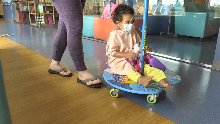 Lily pads, or a version of a skateboard attached to an IV pole.