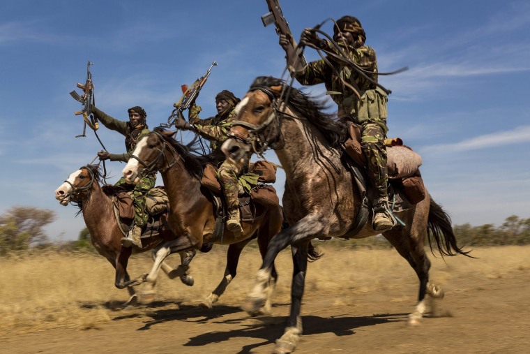Image: Nature, 2nd prize stories - 2016 World Press Photo