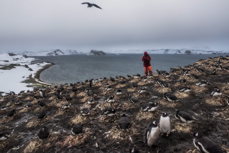 Image: First Prize Stories Daily Life - 2016 World Press Photo