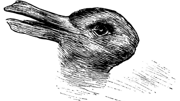 rabbit-duck-drawing-tease-today-160215