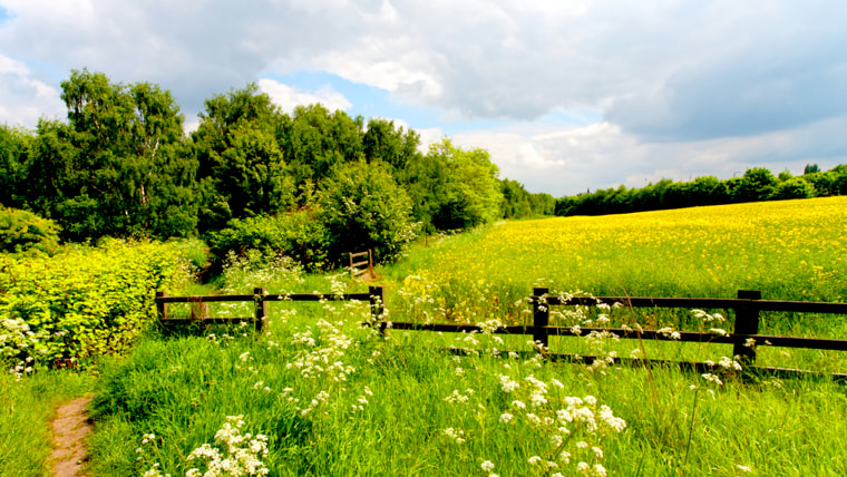 family vacations with baby or toddler: farm trips