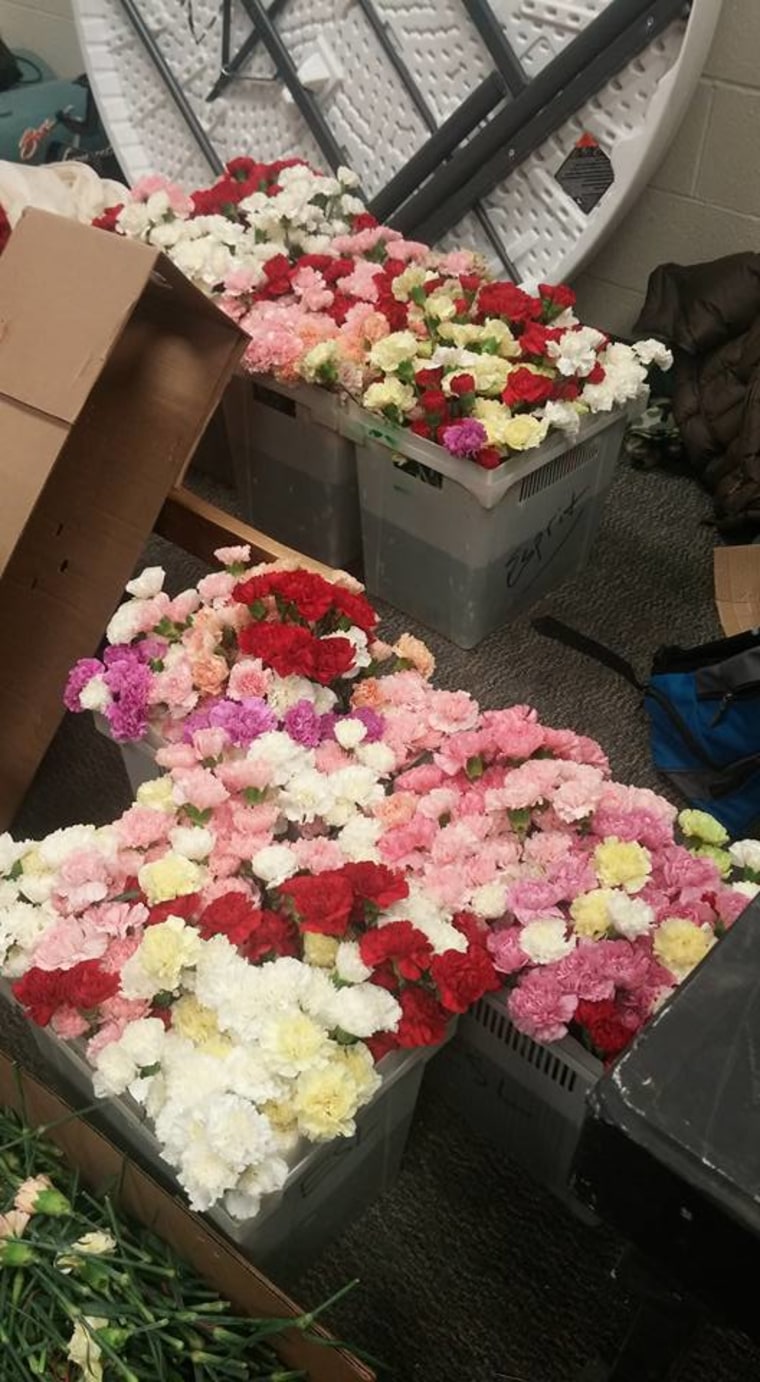 valentine's day carnations