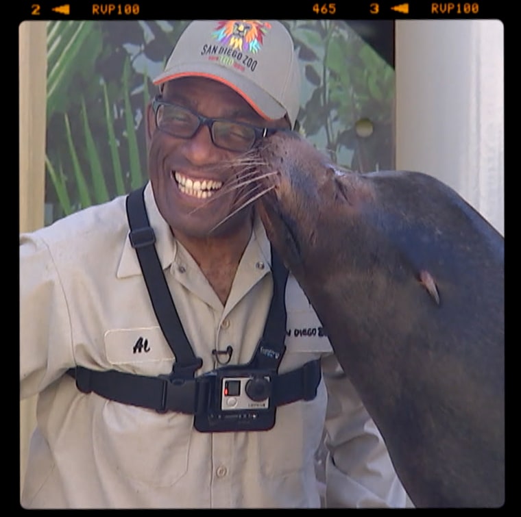 Al Roker with a seal at the San Diego Zoo.