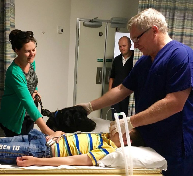 Therapy dog bonds with boy in hospital.