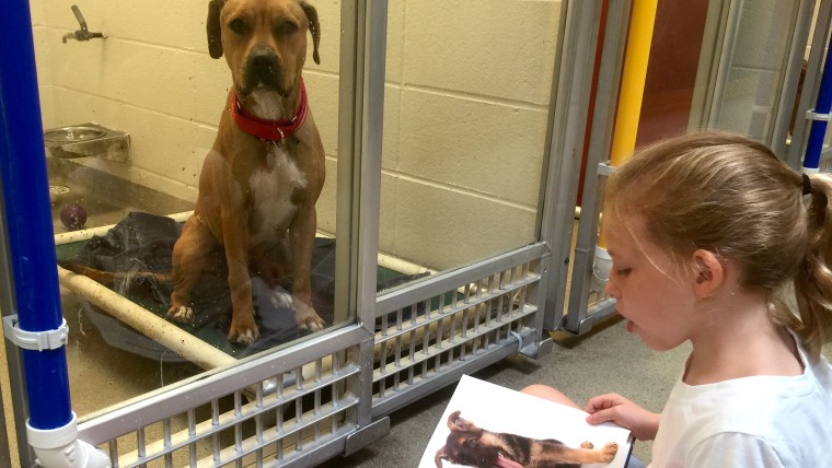 Summer camper turned regular volunteer Alex Hinsley reads to her dog buddy Wilbur.