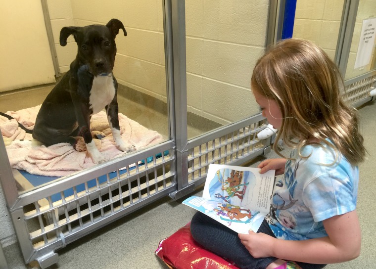 Volunteer Alex Hinsley, 8, with Annie. Alex believes the dogs listen better to stories about other dogs.