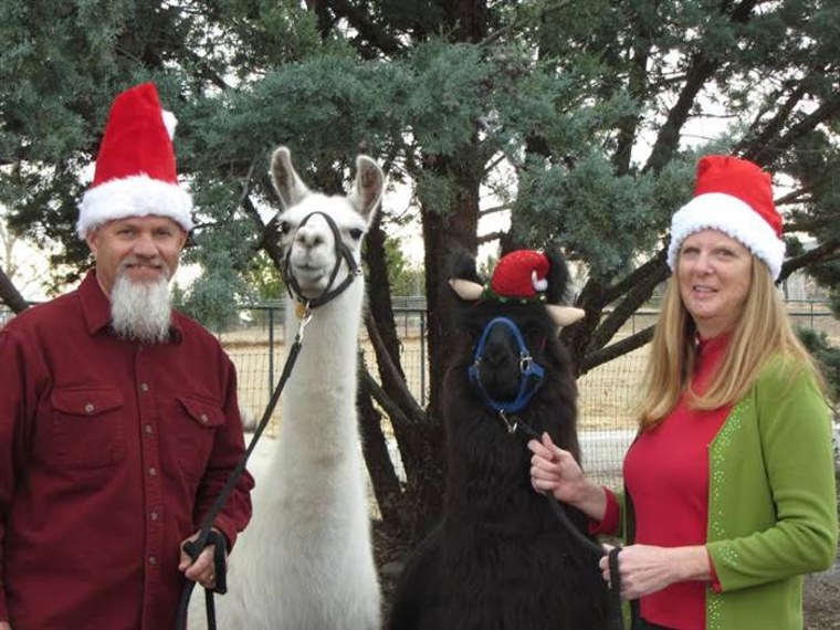 llama escape christmas card