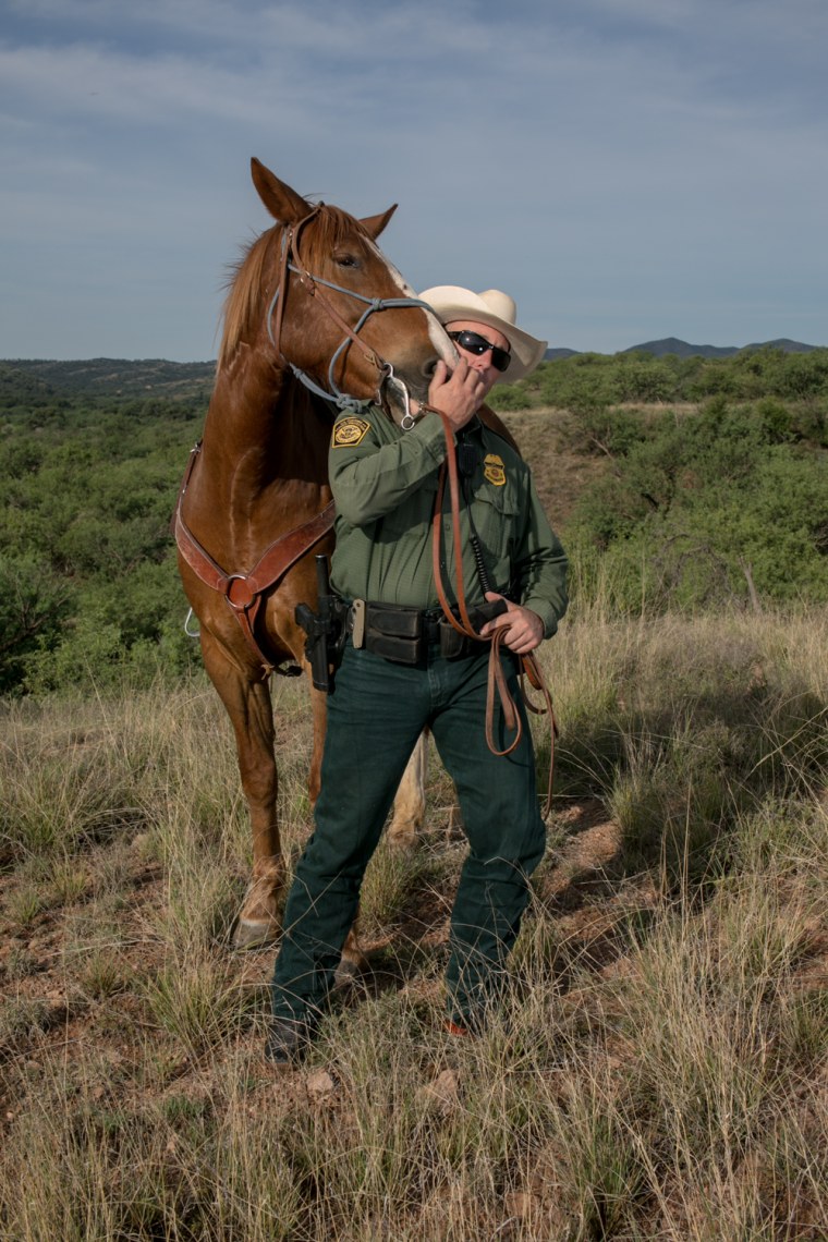 Image: Border Patrol Horse 2