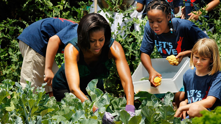 Michelle Obama Hosts Chefs, Harvests From White House Garden