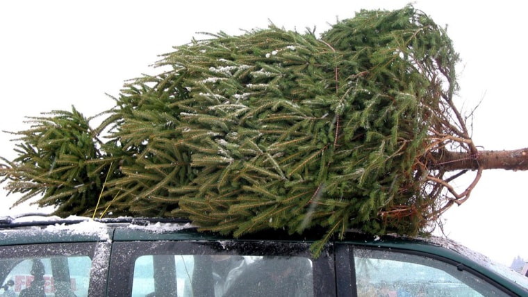 Image: christmas-tree-top-of-car-stock