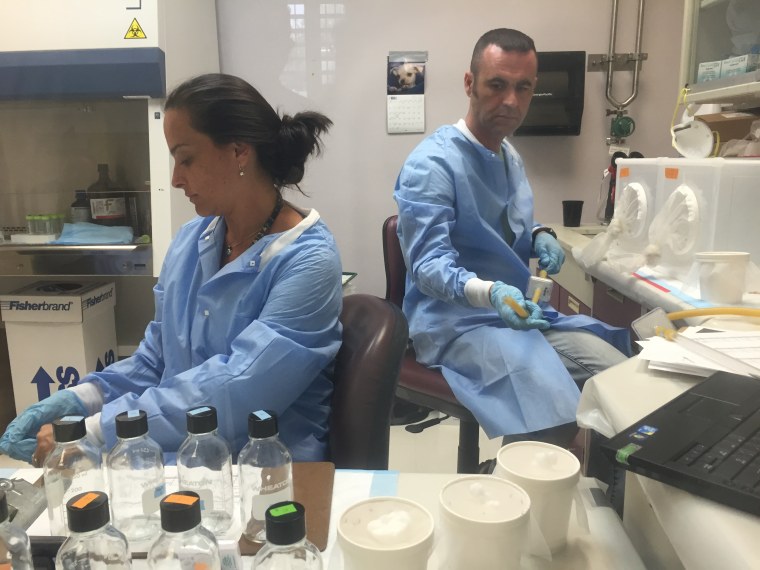 CDC staffers test pesticides at the CDC's dengue lab in Puerto Rico. The agency has adjusted work at its dengue research center to focus on fighting Zika, a related virus.