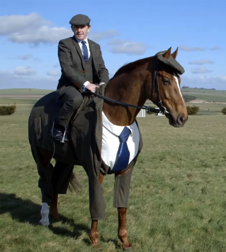 Morestead, with champion jockey Anthony McCoy, both in tweed.