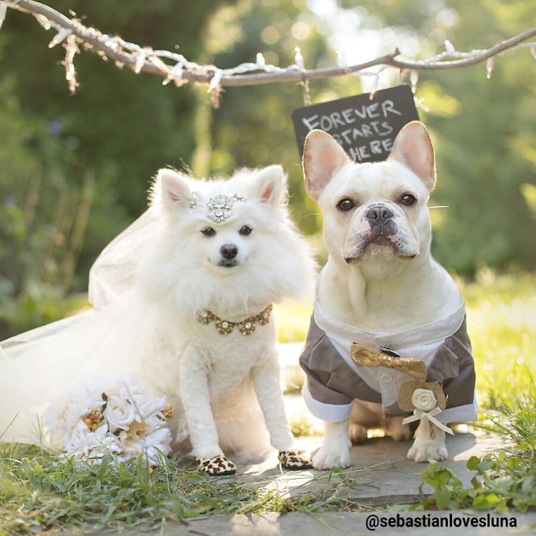 Sebastiin and Luna
