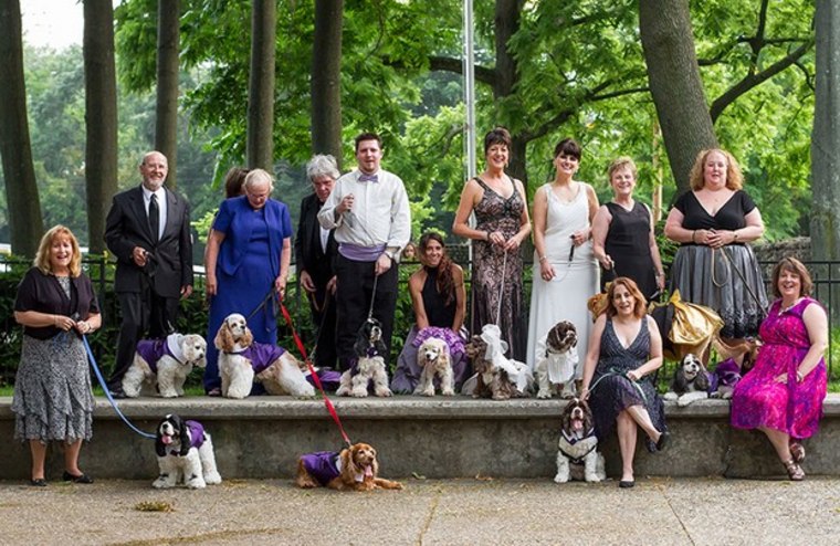 The full wedding party at the marriage of dogs Dexter and Zoe.
