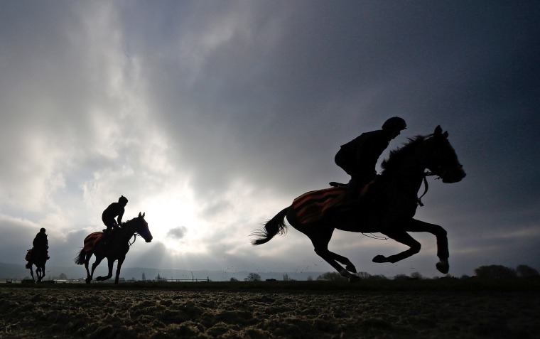 Image: *** BESTPIX *** Cheltenham Gallops