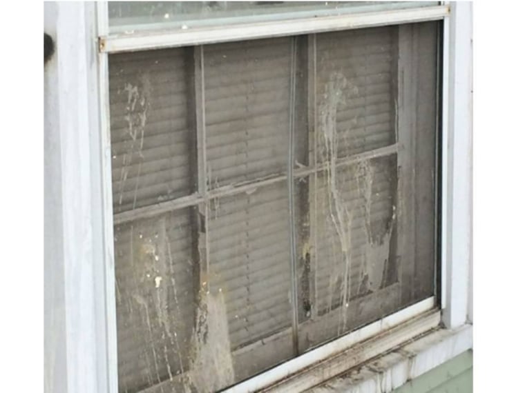 Image: Egged windows