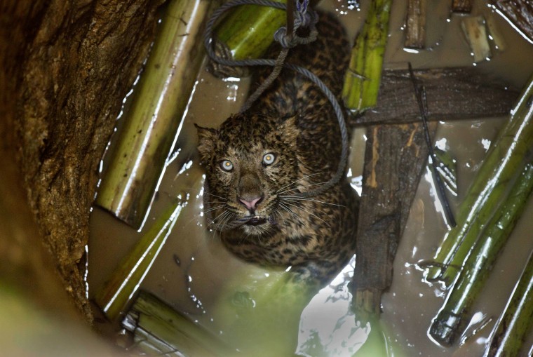 Image: The Week in Pictures